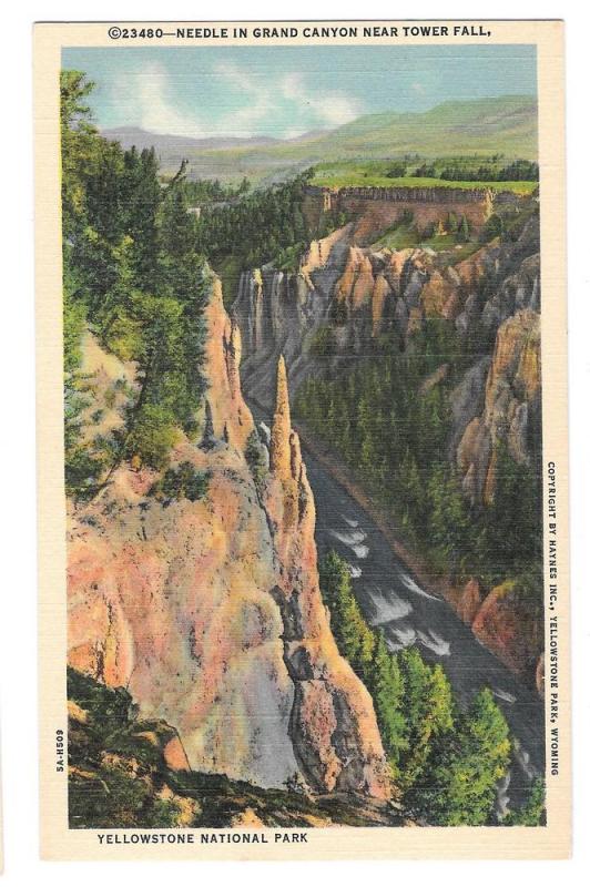 WY Yellowstone National Park Needle Grand Canyon Haynes PC 