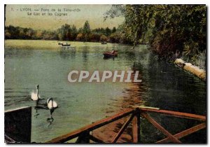 Old Postcard Lyon Park Tete d'Or Lake and Swans