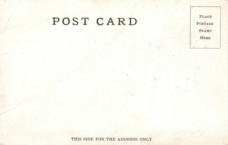 Vintage Postcard 1900's Sylvan Lake Scene Pontiac Michigan MI Boating Nature