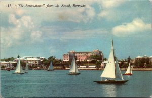 113. The Bermudiana from the Sound Bermuda Postcard PC17