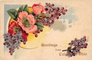 H67/ Caledonia Ohio Postcard c1910 Greetings from Caledonia 27
