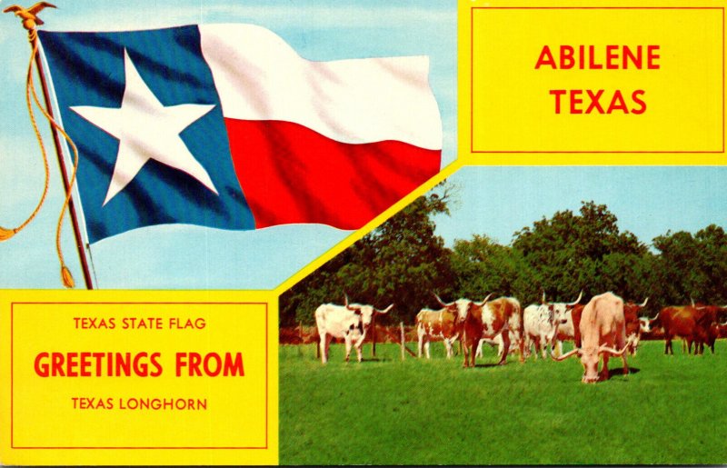 Texas Abilene Greetings With State Flag and Texas Longhorns