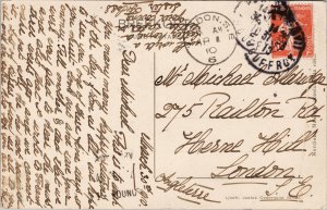 Skansen Dofjortar Sweden Reindeer c1910 Postcard E83