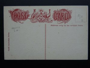 Australia ADELAIDE The General Post Office c1905 Postcard by Advance Australia