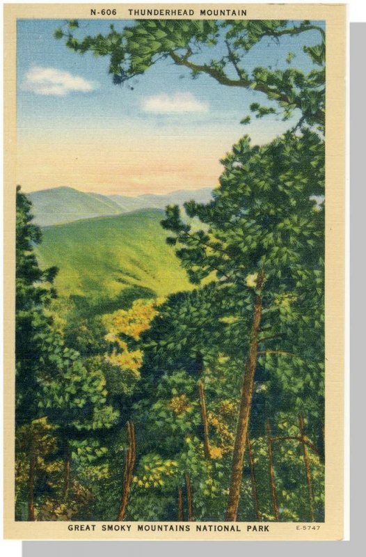 Smoky Mountains National Park, North Carolina/NC-TN Postcard,Thunderhead,Nr Mnt