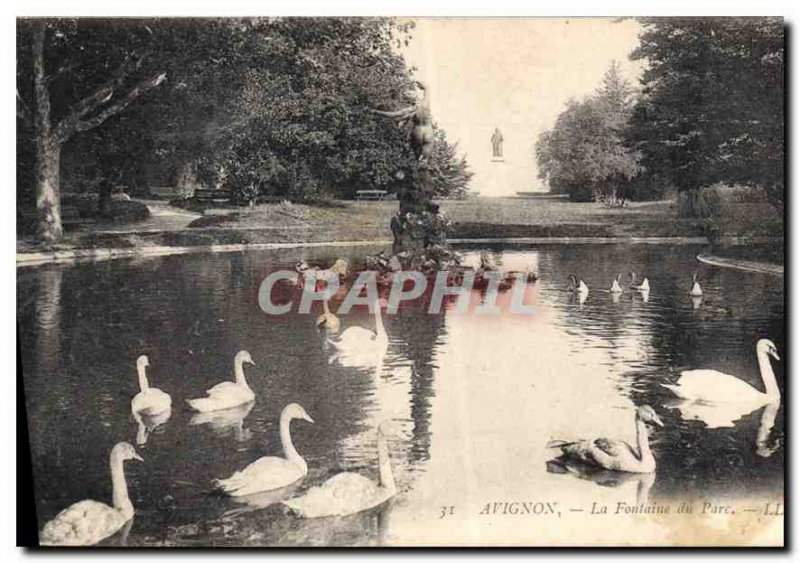 Old Postcard Avignon The Swans Fountain Park