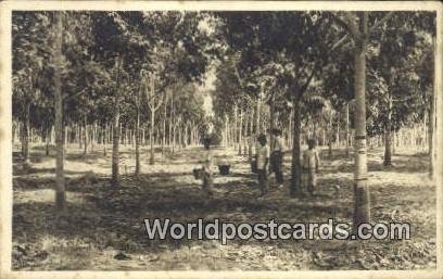 Rubber Plantation Malaya, Malaysia Unused 