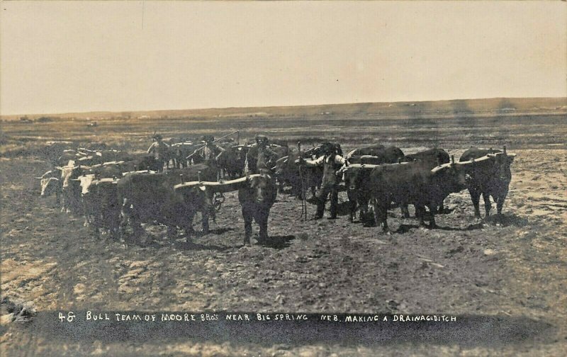 BIG SPRINGS NEBRASKA~MOORE BROTHERS BULL TEAM-DRAINAGE DITCH~REAL PHOTO POSTCARD