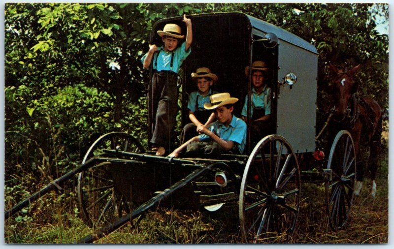 Amish boys and buggy, Greetings From The Amish Country - Pennsylvania