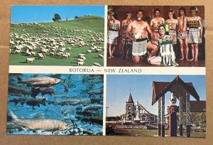 UNUSED POSTCARD -  4 VIEWS OF ROTORUA, NEW ZEALAND