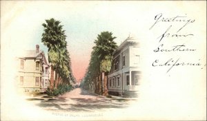 Los Angeles California CA Avenue of Palms c1900 Private Mailing Card Postcard