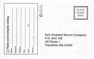 New England Serum Company Topsfield, MA, USA Postcard