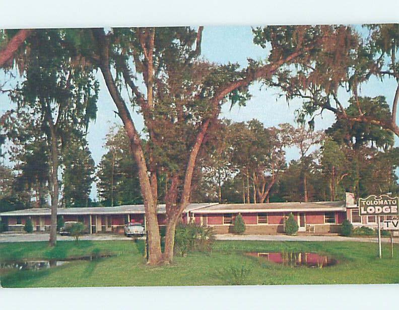 Unused Pre-1980 LODGE SCENE St. Augustine Florida FL c5173