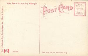 c1910 Hand-Colored Postcard Carnegie Library, Carthage MO Jasper County unposted