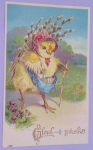 Anthropomorphic Chick Eggs Gel Gold Gilt Antique Vintage Easter Postcard