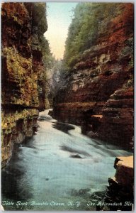 Table Rock Ausable Chasm New York NY The Adirondack Mountains Postcard