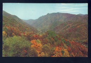 Western, North Carolina/NC Postcard, Nantahala Gorge On Us Highway No 19