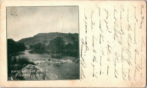 Ammonoosus River, Lisbon NH Undivided Back c1906 Vintage Postcard U20 
