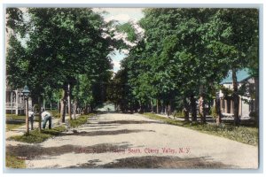 c1910 Alden Street Looking South Cherry Valley New York NY Antique Postcard