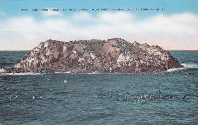 California Monterey Peninsula Seal and Bird Rock 17 Mile Drive