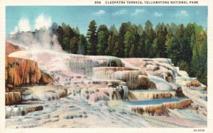 Vintage Postcard 1920's Cleopatra Terrace Yellowstone National Park Wyoming WY
