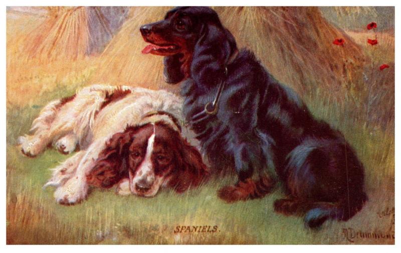 Dog Tuck's no.  9381 Spaniels