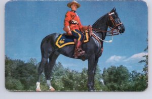 Royal Canadian Mounted Police, RCMP, Horseback, Vintage Chrome Postcard #2
