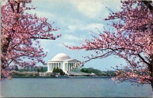 Jefferson Memorial Cherry Blossom Tree Tidal Potomac Park Tokyo Vintage Postcard 