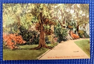Vintage c1910 Walk in Magnolia Gardens Charleston SC Valentine & Sons Postcard