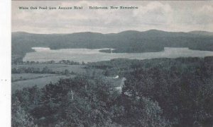 New Hampshire Holderness White oak Pond From Asquam Hotel Albertype