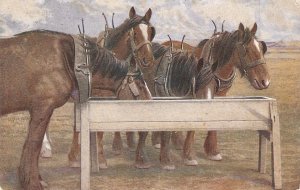 Four cart horses Old vintage English postcard