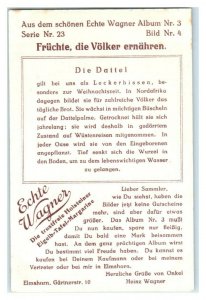 Dates, North Africa, Nourishing Food, Echte Wagner German Trade Card *VT31U