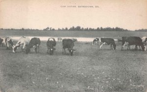 COW PASTURE GEORGETOWN DELAWARE POSTCARD (c. 1940s)