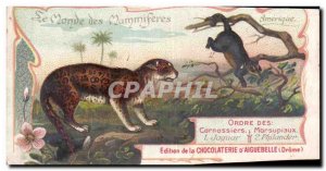 Chromo The World of Order of Mammals Predators Primates Chocolaterie d & # 39...