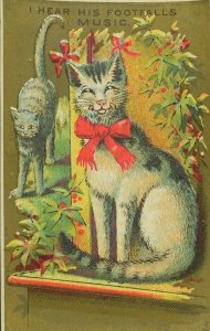 1870's-80's Synopsis Tommy Cat New York Victorian Trade Card P59