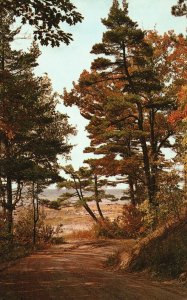 Vintage Postcard Bend In The Trail Road Trees Michigan MI Pub By Bob Miles