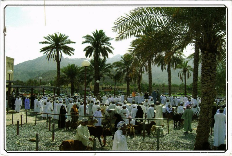 PC CPA SULTANATE OF OMAN, GOAT AUCTION, REAL PHOTO POSTCARD (b16349)