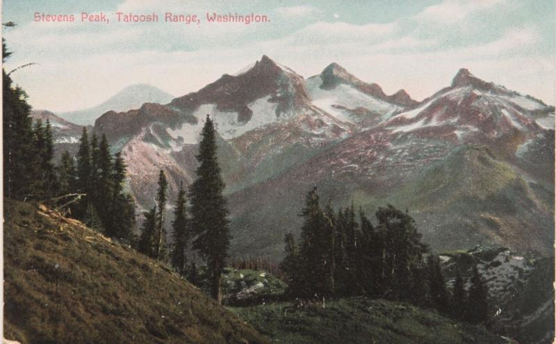 Stevens Peak Tatoosh Range Washington WA Unused Vintage Postcard D33  