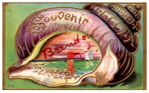 Vermont  Brandon  SEA SHELL