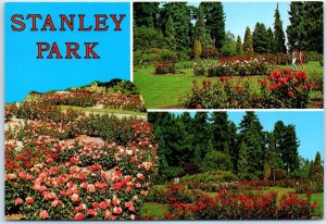 M-78175 Magnificent Stanley Park Rose Gardens Vancouver Canada