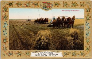 Harvesting in Manitoba Canada's Golden West Canada Patriotic Postcard H53