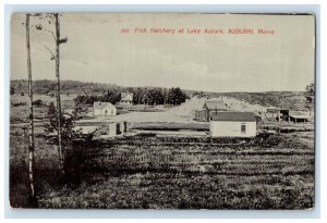 c1910's Fish Hatchery At Lake Auburn, Auburn Maine ME Unposted Antique Postcard