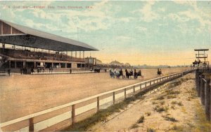J37/ Cleveland Ohio Postcard c1910 North Randall Harness Horse Race Track 136 
