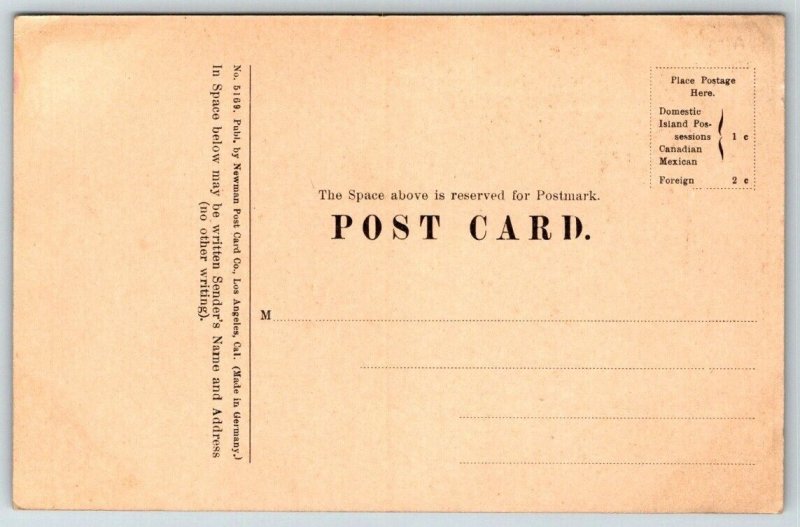 Alligator Rock  La Jolla  California  Postcard