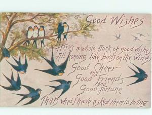 Divided-Back BIRDS SCENE Pretty Postcard AA9003