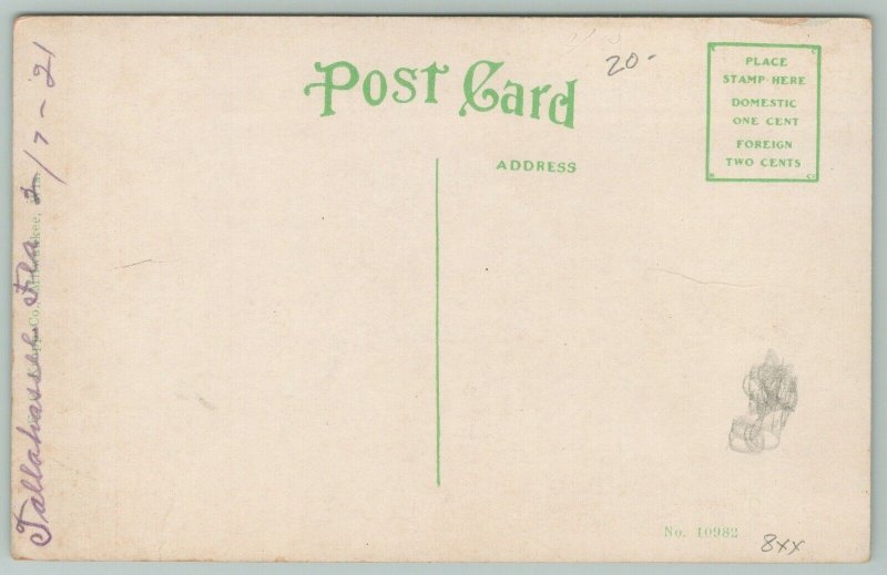 Tallahassee Florida~Ox Cart Rickshaw~Peg Leg Driver~1921 Postcard
