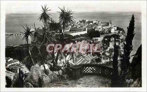 Old Postcard The Rock of Monaco saw exotic gardens