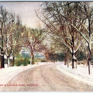 c1910s Chicago, IL Lincoln Park Winter Scene Road St Litho Postcard MA Vtg A60