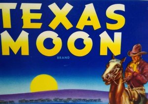 Texas Moon Western Cowboy Horse Sunset Tomato Crate Label Vintage Original 1940