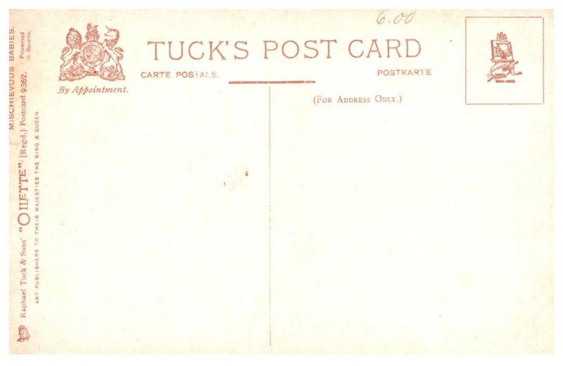 Dog ,  puppies chewing glove